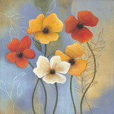 Delightful Splendor