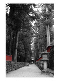 Road To The Temple