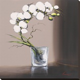 Volutes D'Orchidées Blanches I