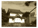 Traditional Building In Tokyo
