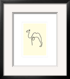 The Camel