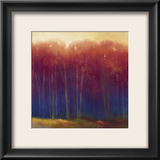Deep Woods in Autumn