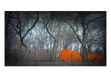 Central Park