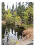 Lake In Sierras