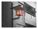 Tokyo Street Light