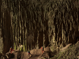 Cavers Stare at a Cascade of Fluted Limestone  Greened By Algae