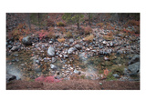 Mountain River