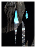 Burned Trees 10