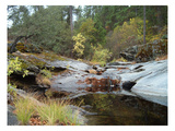 Lake In The Forest 1