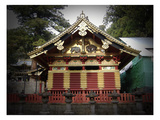 Nikko Architecture With Gold Roof