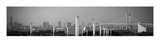 Tokyo Panorama