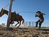 A Baptist Minister Breaks a Horse on Land Where He Plans a New Church