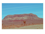Desert Mountain