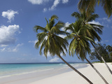 White Sand Beach  Bridgetown  Barbados  West Indies  Caribbean  Central America