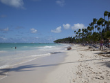 Bavaro Beach  Punta Cana  Dominican Republic  West Indies  Caribbean  Central America