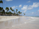 Bavaro Beach  Punta Cana  Dominican Republic  West Indies  Caribbean  Central America