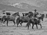 A Cowboy Herding Cattle in Field