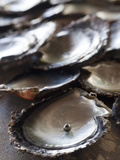 A Black Pearl in an Oyster Shell