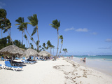 Bavaro Beach  Punta Cana  Dominican Republic  West Indies  Caribbean  Central America