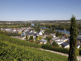 Village of Bech-Kleinmacher  Mosel Valley  Luxembourg  Europe