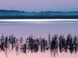 Grasses and Calm Lake Waters at Sunset in the Zhalong Wetlands