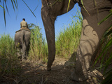 Kaziranga National Park Guards Out on Daily Poaching Patrol