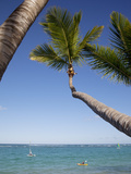 Bavaro Beach  Punta Cana  Dominican Republic  West Indies  Caribbean  Central America