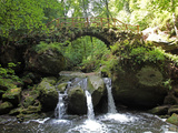 Waterfall Schiessentumpel at Mullerthal  Luxembourg  Europe