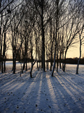 Winter Sunrise and Snow Covered Rural Landscape in the Countryside  Arrow Valley  Worcestershire  E