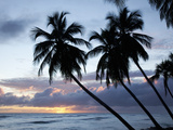 Tropical Sunset  Bridgetown  Barbados  West Indies  Caribbean  Central America