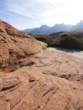 Red Rock National Conservation Area  Las Vegas  Nevada  United States of America  North America