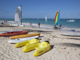 Bavaro Beach  Punta Cana  Dominican Republic  West Indies  Caribbean  Central America