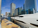 Canary Wharf  Docklands  London  England  United Kingdom  Europe