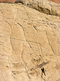 Rock Climber  Red Rock National Conservation Area  Las Vegas  Nevada  United States of America  Nor