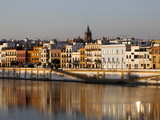 Bank of the Guadalquivir River  Seville  Andalucia  Spain  Europe