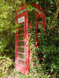 Overgrown Telephone Box  England  United Kingdom  Europe