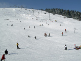 Winter Sports at Feldberg  Black Forest  Baden-Wurttemberg  Germany  Europe