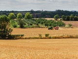View across a Harvested Landscape  Warwickshire  England  United Kingdom  Europe