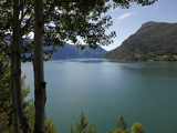 Lustrafjorden Near Dale  Sogn Og Fjordane  Norway  Scandinavia  Europe