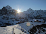 Sunrise on the Wetterhorn  Seen from First  Grindelwald  Bernese Oberland  Swiss Alps  Switzerland 
