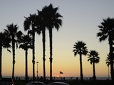 Sunset at Hermosa Beach  Los Angeles County  California  United States of America  North America