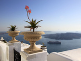 Firostefani  Santorini  Cyclades Islands  Greek Islands  Greece  Europe
