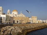 Cadiz Waterfront  Cadiz  Andalucia  Spain  Europe