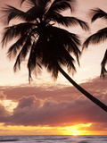 Tropical Sunset  Bridgetown  Barbados  West Indies  Caribbean  Central America