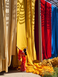 Woman in Sari Checking the Quality of Freshly Dyed Fabric Hanging to Dry  Sari Garment Factory  Raj