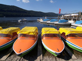 Titisee  Black Forest  Baden-Wurttemberg  Germany  Europe