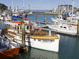 Inner Harbour  Gisborne  Eastland District  North Island  New Zealand  Pacific