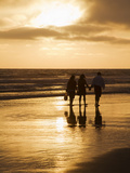 Sunset  Newport Beach  Orange County  California  United States of America  North America