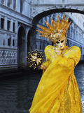 Masked Figure in Costume at the 2012 Carnival  with Ponte Di Sospiri in the Background  Venice  Ven