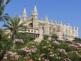 Palma Cathedral (La Seu)  Palma De Mallorca  Mallorca (Majorca)  Balearic Islands  Spain  Mediterra